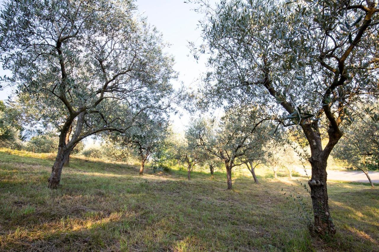 Agriturismo Valbare Villa Fregona Екстериор снимка